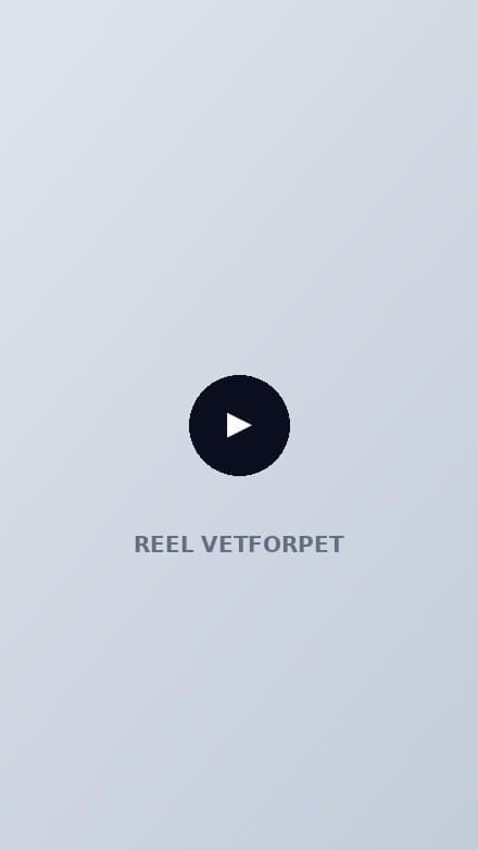 Cadru din reel-ul Vetforpet